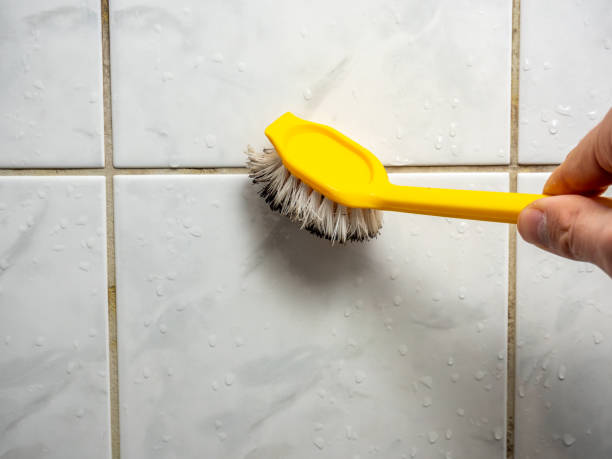 Best Home Mold Removal  in The Pinehills, MA