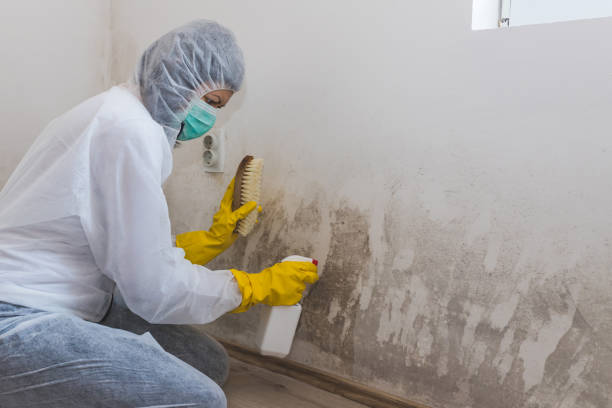 Water Damage Restoration in The Pinehills, MA