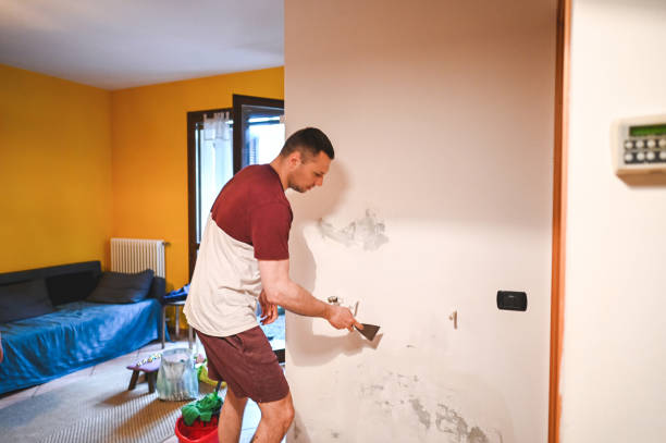 Best Emergency Mold Removal  in The Pinehills, MA
