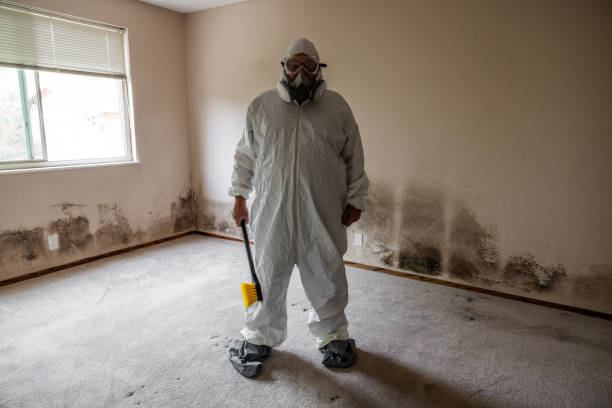 Best Crawl Space Mold Removal  in The Pinehills, MA
